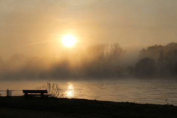 Rhein
