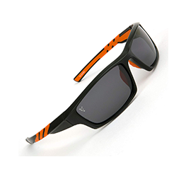 Polarisationsbrille Test Fox