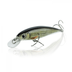 Wobbler Spinnfischen