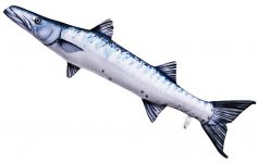 Barrakuda Stofftier