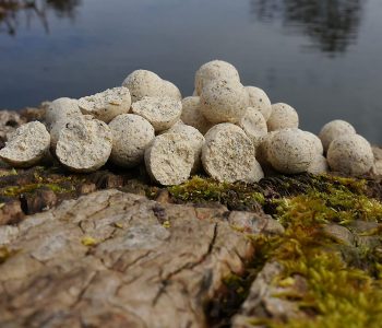 boilies-selber-machen