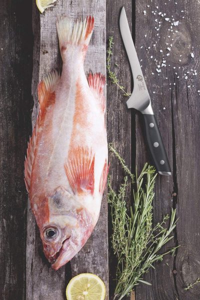 filetiermesser fisch