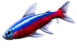 Neon Tetra Stofftier