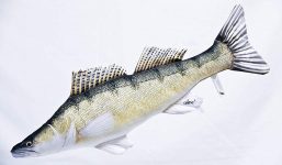 Fisch Stofftiere Zander
